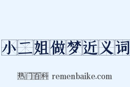 小二姐做梦近义词是什么意思的图片